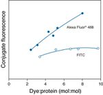 Mouse IgG (H+L) Cross-Adsorbed Secondary Antibody