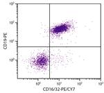 CD16/CD32 Antibody in Flow Cytometry (Flow)