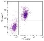 CD24 Antibody in Flow Cytometry (Flow)