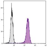 LAMP1 Antibody in Flow Cytometry (Flow)