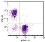 TCR beta Antibody in Flow Cytometry (Flow)