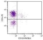 CD103 Antibody in Flow Cytometry (Flow)