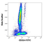 NKG2D Antibody in Flow Cytometry (Flow)