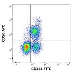 NKG2D Antibody in Flow Cytometry (Flow)