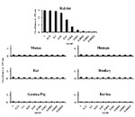 Rabbit IgG (Heavy chain) Secondary Antibody in ELISA (ELISA)