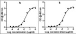 Rabbit IgG (Heavy chain) Secondary Antibody in ELISA (ELISA)