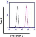 Rabbit IgG (Heavy chain) Secondary Antibody in Flow Cytometry (Flow)