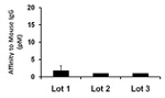 Mouse IgG (H+L) Secondary Antibody