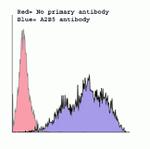 A2B5 Antibody in Flow Cytometry (Flow)