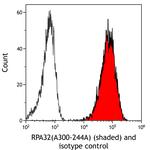 RPA32 Antibody in Flow Cytometry (Flow)