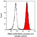 FOX2/RBM9 Antibody in Flow Cytometry (Flow)