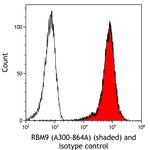 FOX2/RBM9 Antibody in Flow Cytometry (Flow)