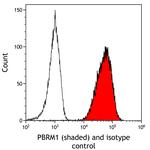 PBRM1 Antibody in Flow Cytometry (Flow)