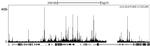 PCAF Antibody in ChIP-Sequencing (ChIP-seq)