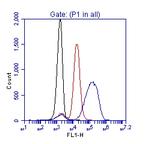 Phospho-ZAP70 (Tyr319) Antibody in Flow Cytometry (Flow)