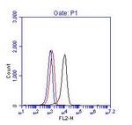 BCR Antibody in Flow Cytometry (Flow)