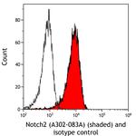 Notch2 Antibody in Flow Cytometry (Flow)