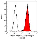 Mre11 Antibody in Flow Cytometry (Flow)