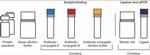 Human cMET ProQuantum Immunoassay Kit