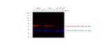 Rabbit IgG (H+L) Cross-Adsorbed Secondary Antibody in Western Blot (WB)