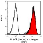 HLA-DR Antibody in Flow Cytometry (Flow)