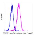 Rabbit IgG (Heavy chain) Secondary Antibody in Flow Cytometry (Flow)