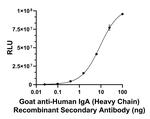 Human IgA (Heavy chain) Secondary Antibody in ELISA (ELISA)