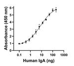 Human IgA (Heavy chain) Secondary Antibody in ELISA (ELISA)