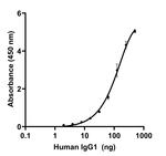 Human IgG1 (Heavy chain) Secondary Antibody in ELISA (ELISA)