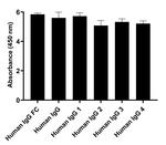 Human IgG Fc Secondary Antibody in ELISA (ELISA)