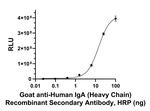 Human IgA (Heavy chain) Secondary Antibody in ELISA (ELISA)