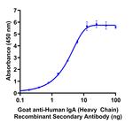 Human IgA (Heavy chain) Secondary Antibody in ELISA (ELISA)