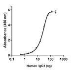 Human IgG1 (Heavy chain) Secondary Antibody in ELISA (ELISA)