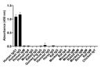 Human IgG1 (Heavy chain) Secondary Antibody