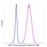 Human IgG Fc Secondary Antibody in Flow Cytometry (Flow)