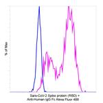 Human IgG Fc Secondary Antibody in Flow Cytometry (Flow)