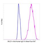 Human IgG Fc Secondary Antibody in Flow Cytometry (Flow)