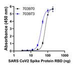 Human IgG (H+L) Secondary Antibody in ELISA (ELISA)