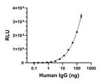 Human IgG (H+L) Secondary Antibody in ELISA (ELISA)