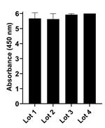 Human IgG (H+L) Secondary Antibody in ELISA (ELISA)