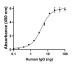 Human IgG (H+L) Secondary Antibody in ELISA (ELISA)