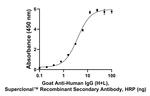 Human IgG (H+L) Secondary Antibody in ELISA (ELISA)