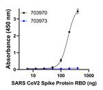 Human IgG (Kappa light chain) Secondary Antibody in ELISA (ELISA)