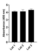 Human IgG (Kappa light chain) Secondary Antibody in ELISA (ELISA)