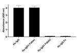 Human IgG (Kappa light chain) Secondary Antibody