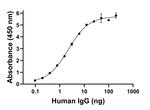 Human IgG Fab Secondary Antibody in ELISA (ELISA)