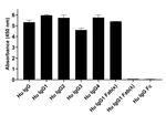 Human IgG (Kappa light chain) Secondary Antibody