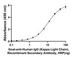 Human IgG (Kappa light chain) Secondary Antibody in ELISA (ELISA)