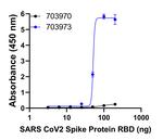 Human IgG (Lambda light chain) Secondary Antibody in ELISA (ELISA)