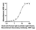 Human IgG (Lambda light chain) Secondary Antibody in ELISA (ELISA)